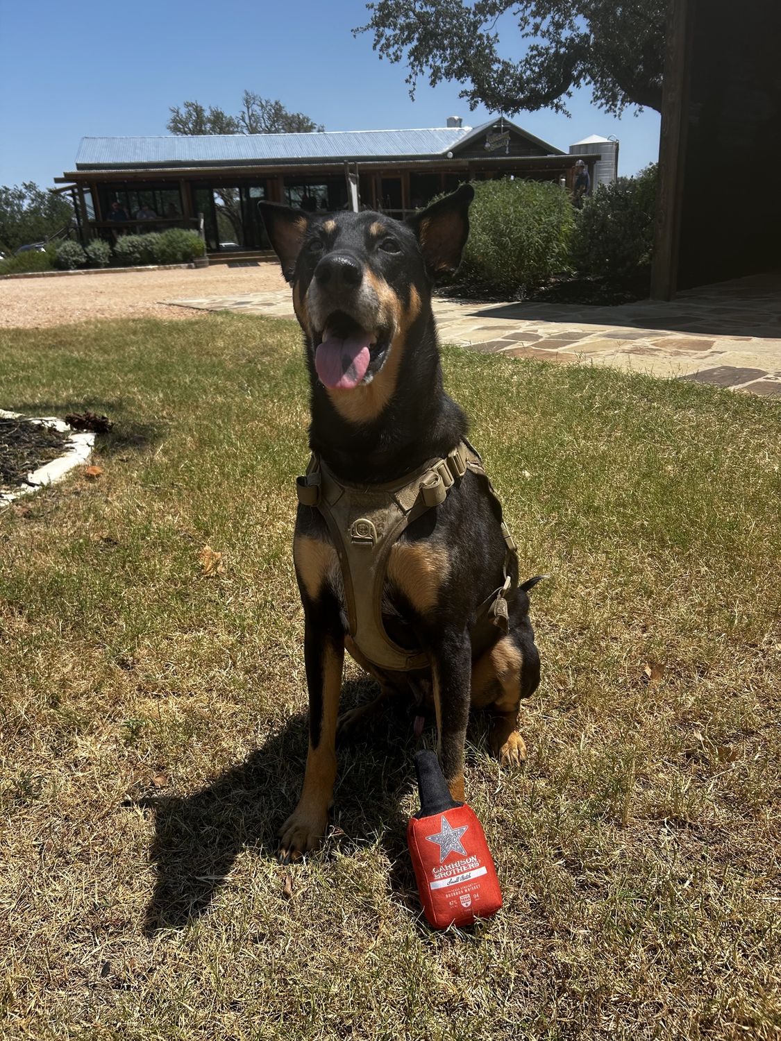 Boop Flask Dog Toy