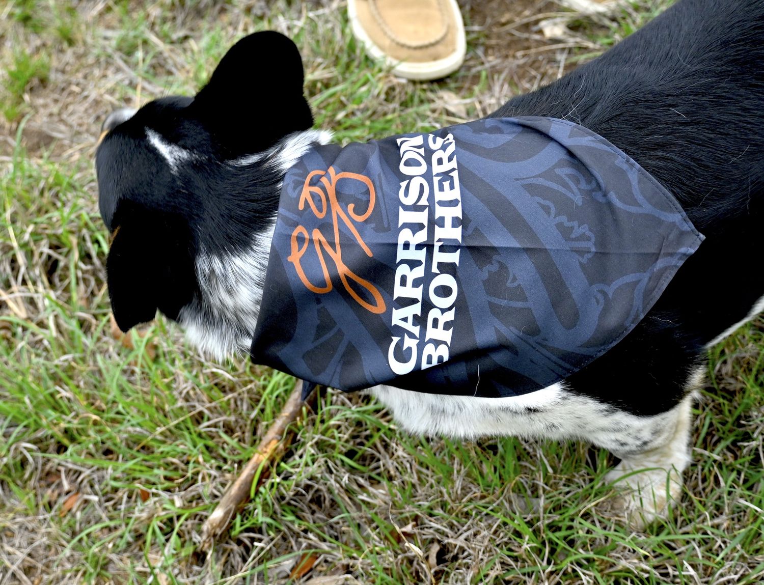 Dog Bandana