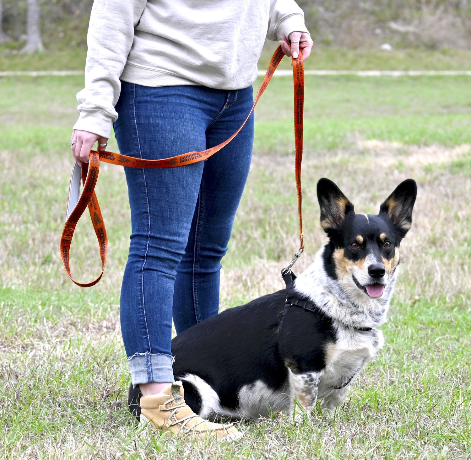 Dog Leash